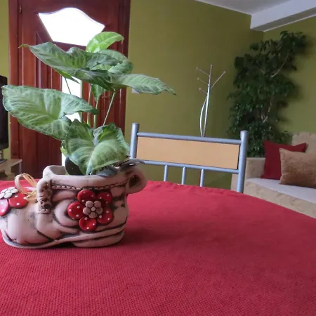 Bilja 아파트 Vrnjačka Banja