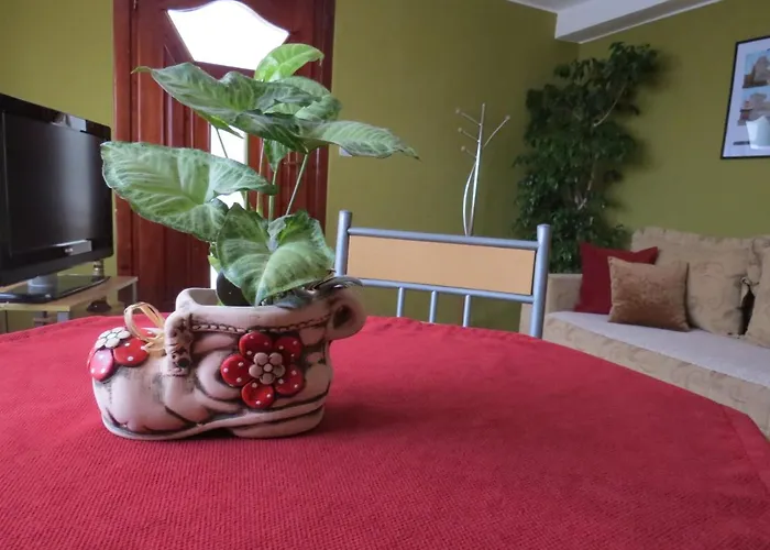 Bilja Daire Vrnjačka Banja